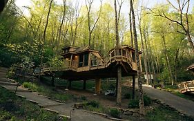 Treehouse Grove At Norton Creek Resort